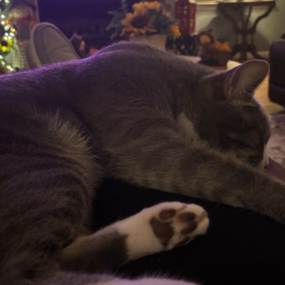 Meet your Posher, Kristie - Picture 2 of 2